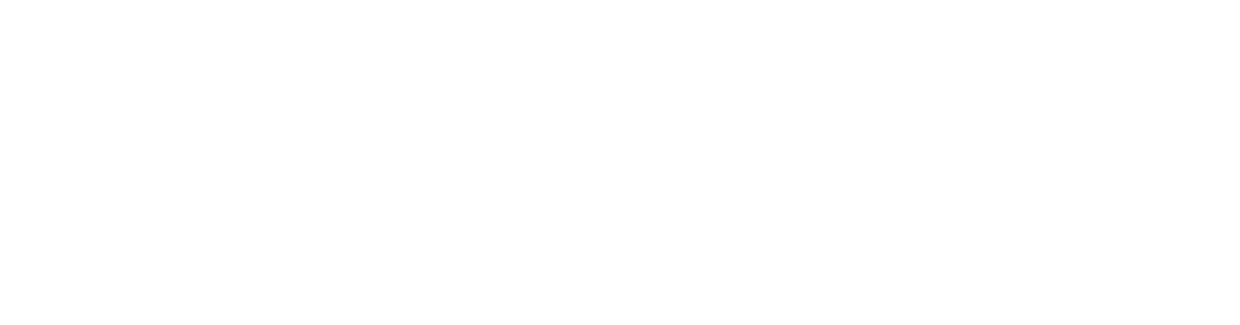 Nebula Logo Groot
